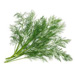 Dill