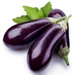 Eggplant-Black Beauty