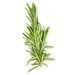 Rosemary